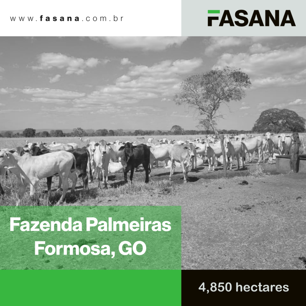 Fazenda Palmeiras