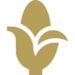 Icon for Fasana’s corn supply operations for industrial demand